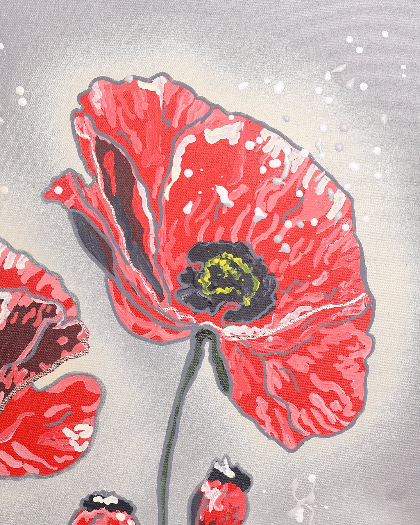 Red Poppy