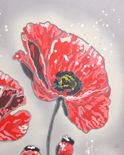 Red Poppy