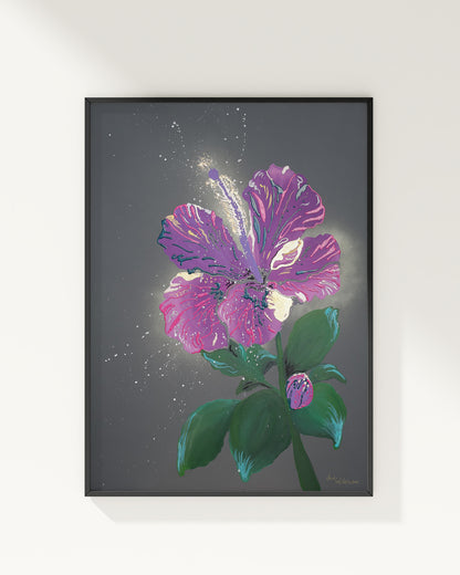 Pink Hibiscus | Fine Art Print