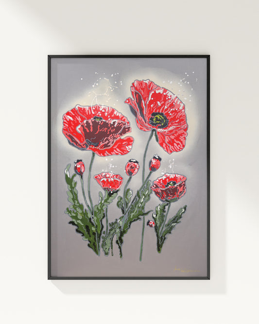 Red Poppy | Fine Art Print